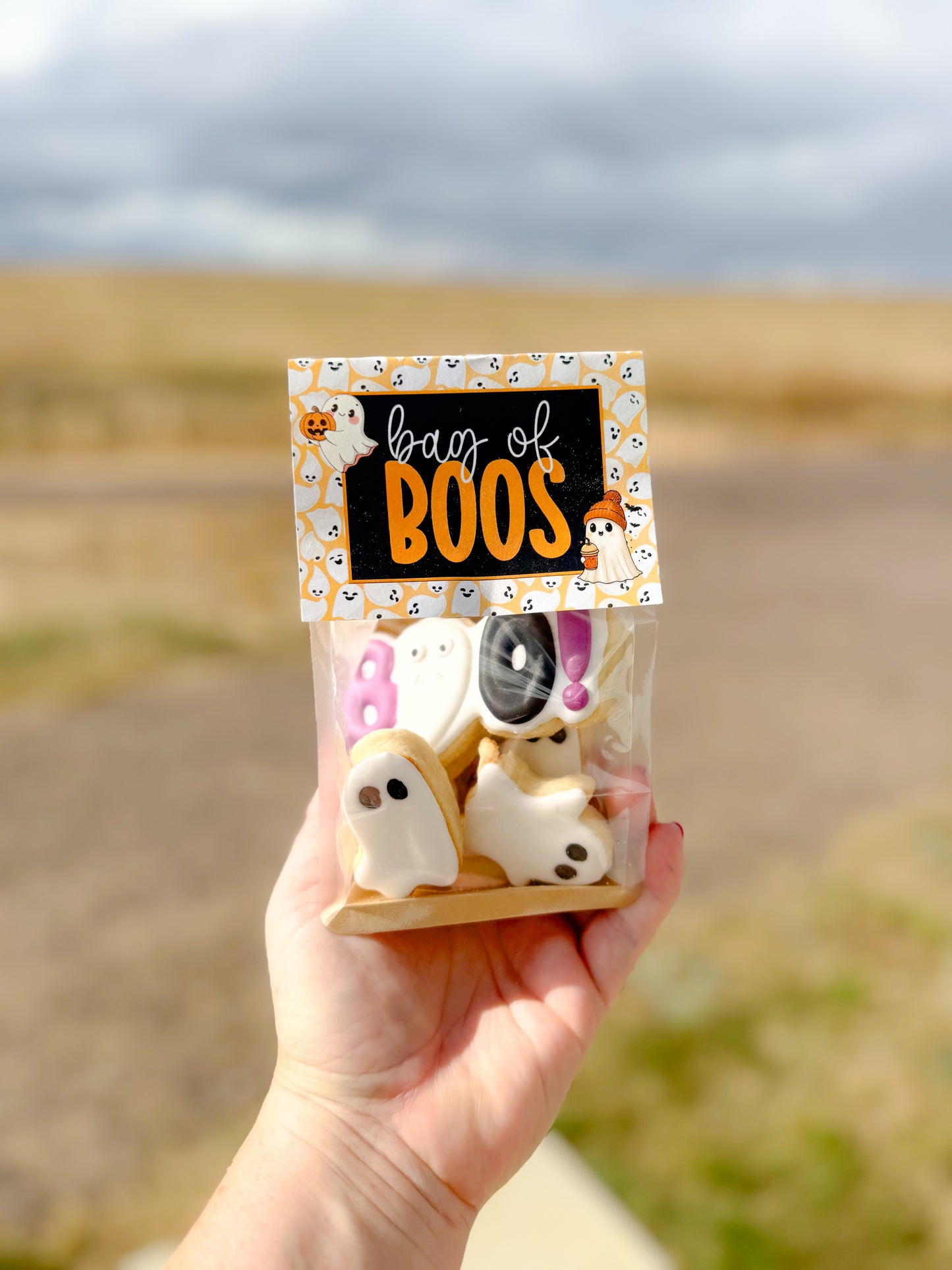 Bag of BOOS!