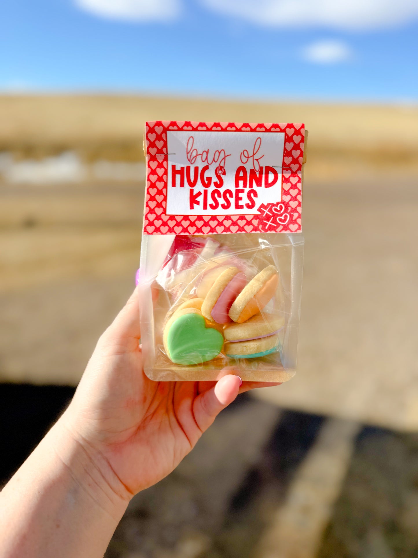 *VALENTINE* Bag of Hugs and Kisses